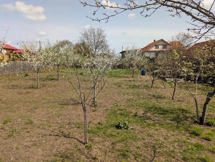 Teren de 845 mp, în Oreavul