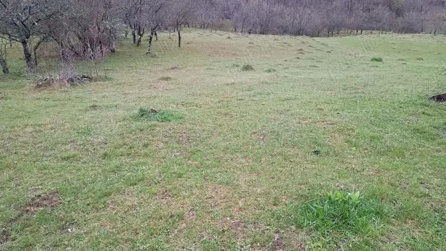 Teren în Valea