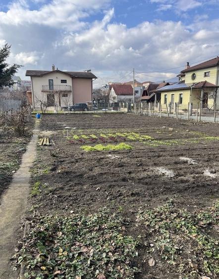Teren Construcții de 813 mp, în Cetate