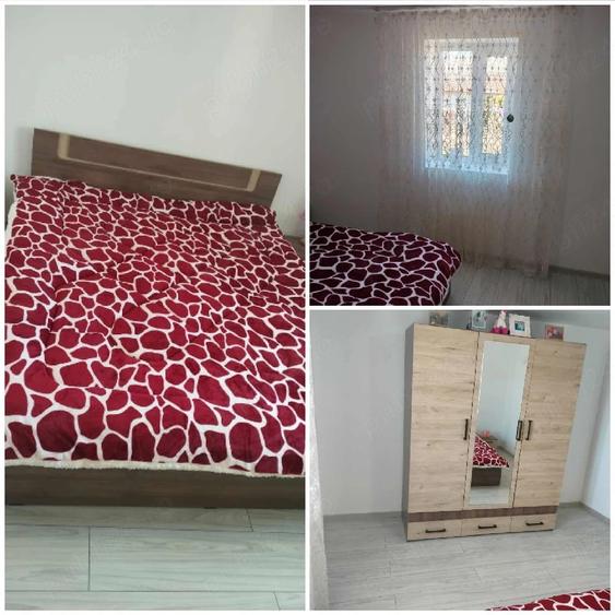 Casă cu 3 camere cu Teren 2700 Mp în Salcia