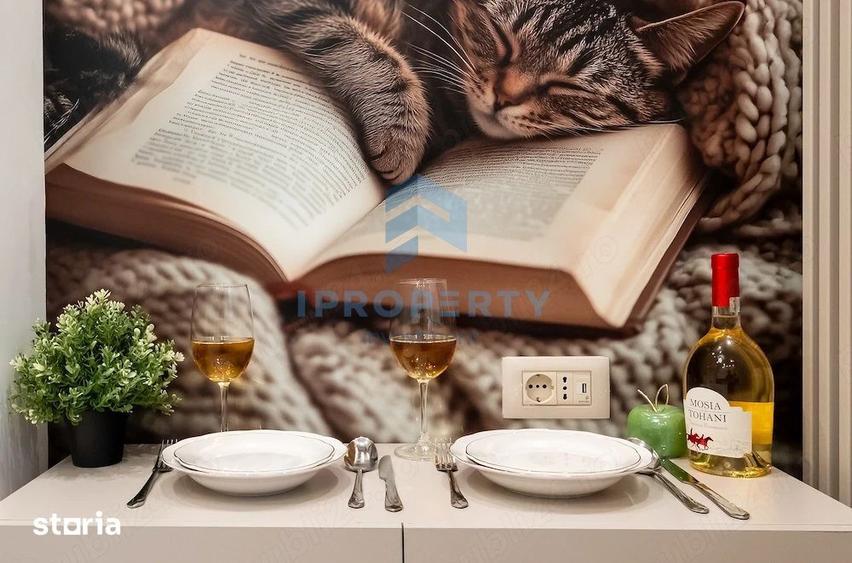 Apartament cu 2 camere, mobilat în Centrul Civic