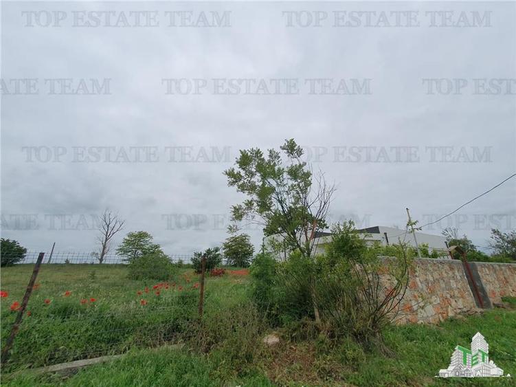 Casă individuală cu 3 camere cu Teren 5250 Mp în Casicea