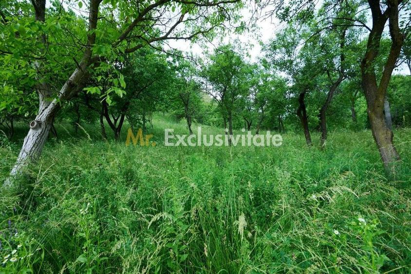 Casă cu 3 camere cu Teren 4696 Mp în Central
