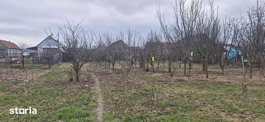 Casă cu 2 camere cu Teren 4000 Mp în Tăut