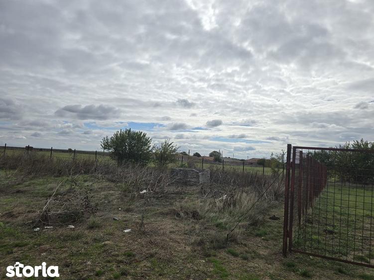 Comuna Amzacea- sat G.Scari?oreanu -Ferma zootehnica , teren 5,1ha - 9