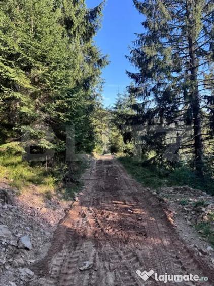 Teren în Vălișoara