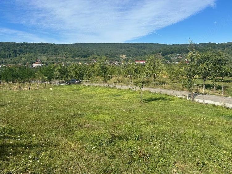 Teren de 970 mp, în Hârtiești