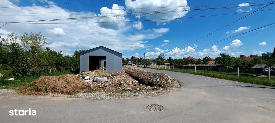 Vanzare teren de casa Novaci - Pociovalistea 12euro m2 - Gorj 3400mp. - 4