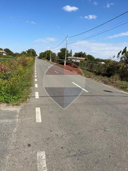 Teren agricol intravilan de 4000 mp, în Crivăț
