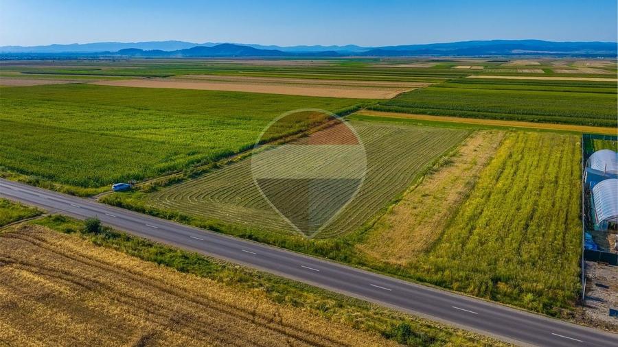 Teren Construcții intravilan de 7500 mp, în Tărlungeni