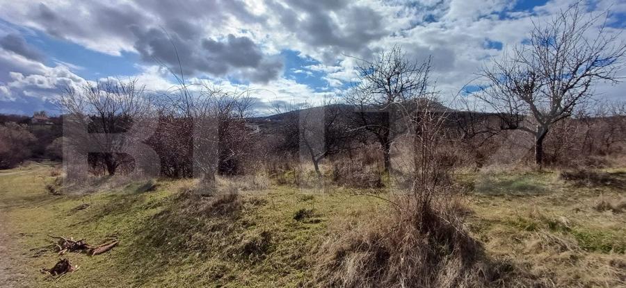 Teren agricol extravilan de 2500 mp, în Centura