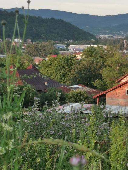 Teren de 11500 mp, în Morilor