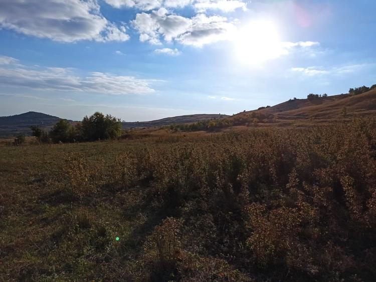 Teren de 21000 mp, în Jugureni
