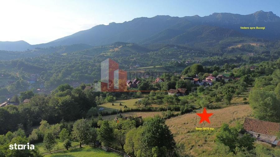 Spațiu comercial, în Bran