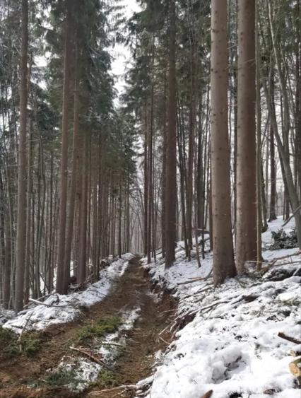 Teren de 67500 mp, în Valea
