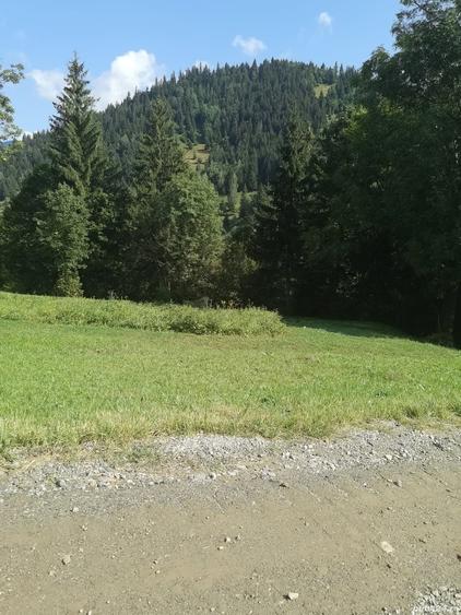 Teren de 1780 mp, în Central