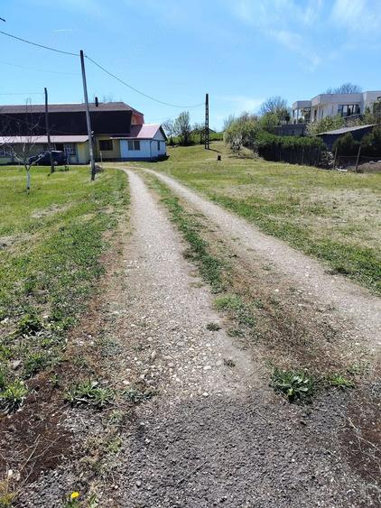 Teren de 6000 mp, în Badon