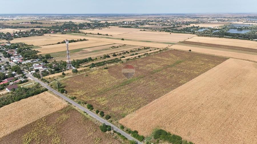 Teren Construcții intravilan de 8648 mp, în Moșteni