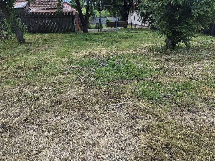 Casă cu 3 camere cu Teren 1150 Mp în Central