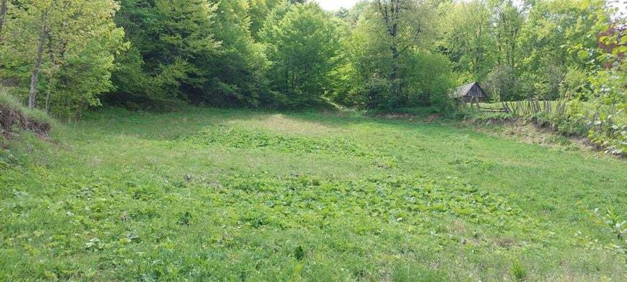 Teren de 12820 mp, în Agăș