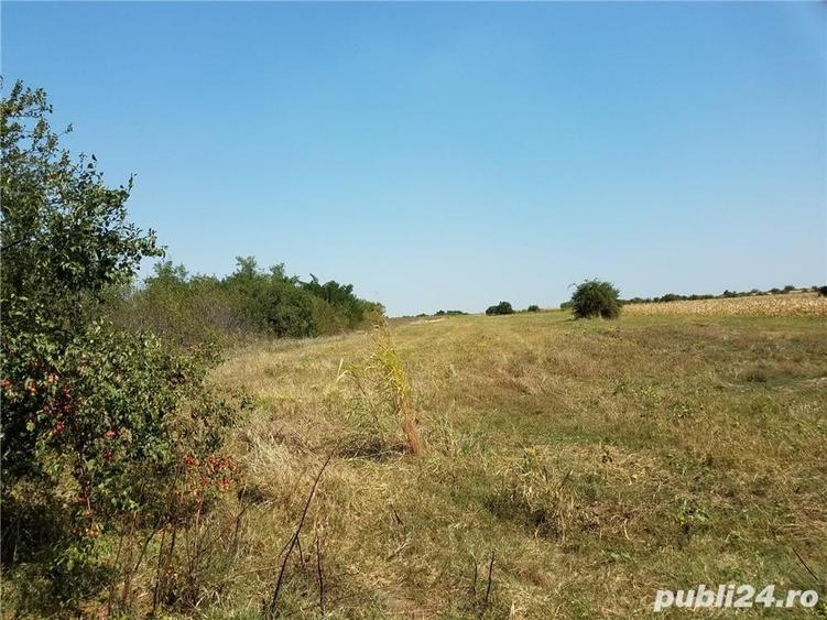 Teren de 1800 mp, în Letca Nouă