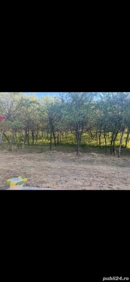 Casă cu 4 camere cu Teren 14242 Mp în Priporu