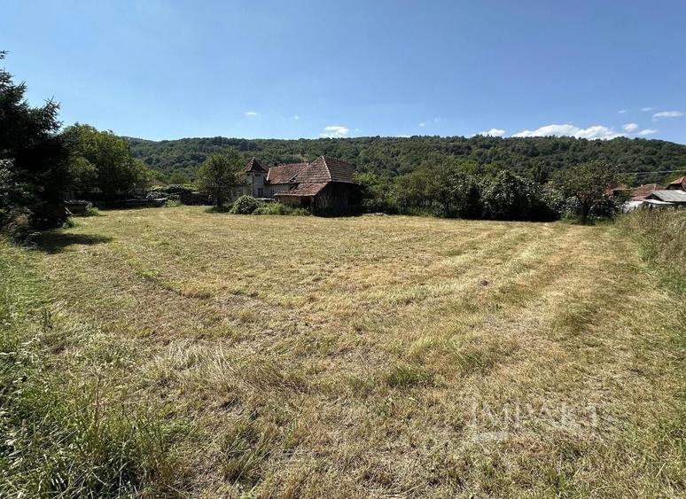 Teren Construcții intravilan de 1345 mp, în Valea Drăganului