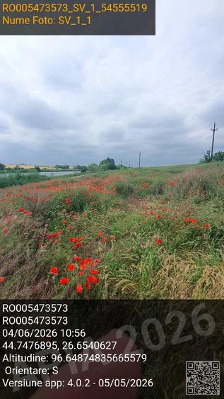 Teren de 3000 mp, în Cotorca