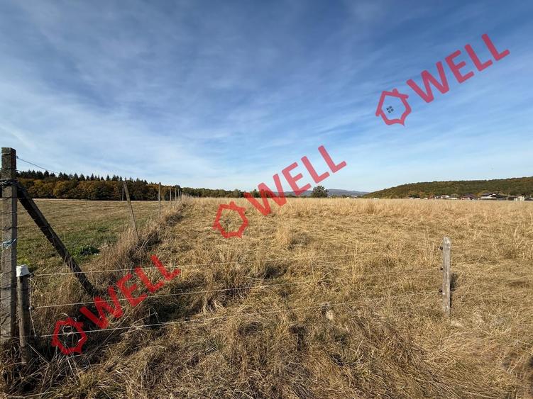 Teren intravilan de 5730 mp, în Periferie
