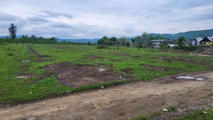 Teren de 7500 mp, în Voila