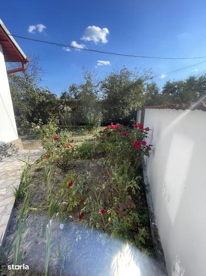 Casă cu 3 camere cu Teren 2300 Mp în Central