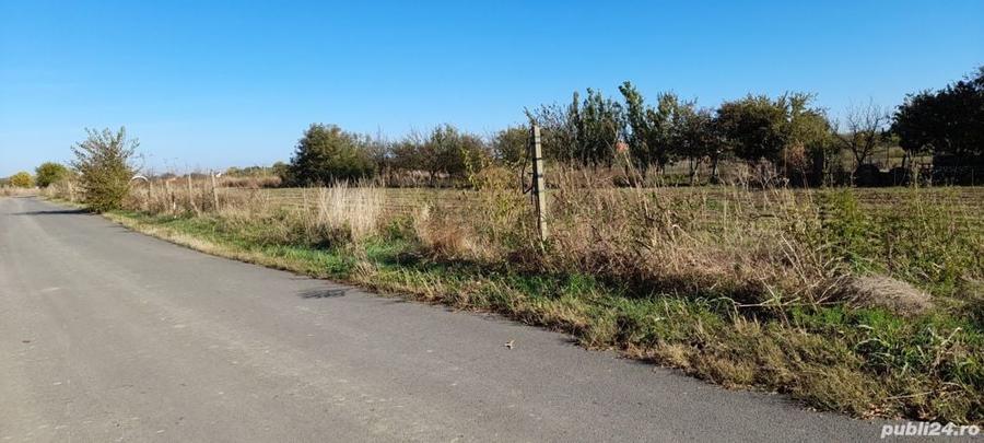 Teren de 4000 mp, în Cărpiniș