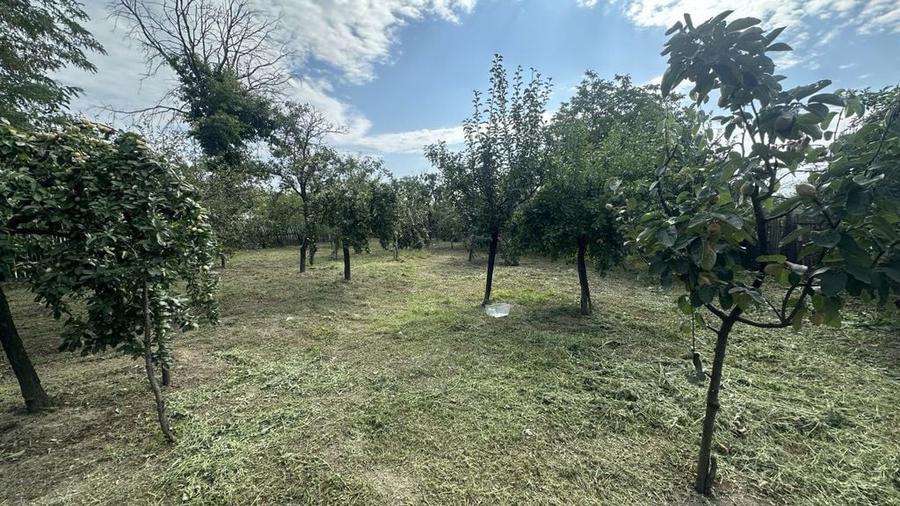 Casa traditionala+teren 1172mp intravilan in Lunca Corbul... - 3