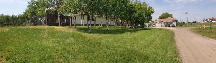 COMISION 0 !!! Ortisoara - Casa 4 Camere -Teren Generos [ 1600 mp] - 8