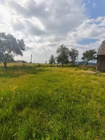 Casa+teren 5000mp, 70ml la DN 2E, zona Cacica, Radauti - 2