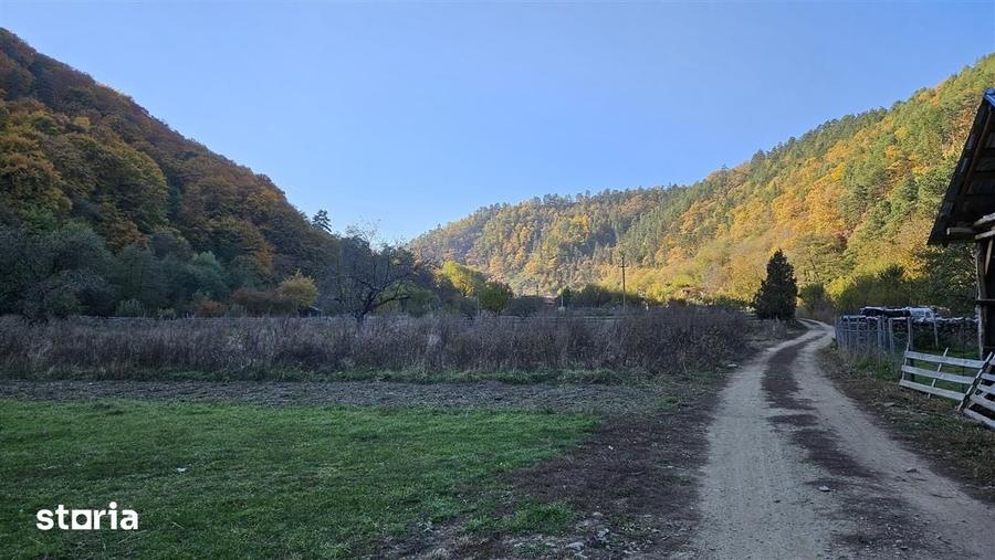 Teren de 310 mp, în Central