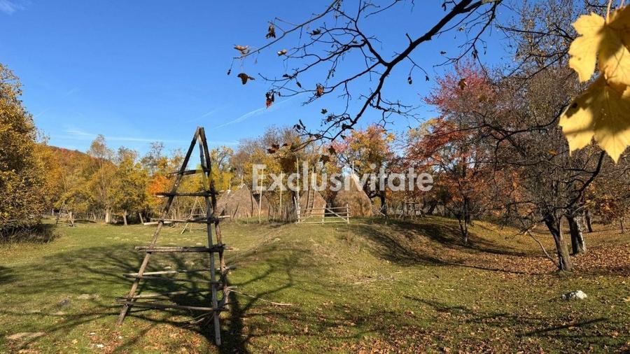 Teren Construcții intravilan de 7500 mp, în Sălătrucu