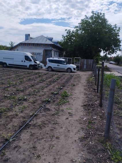 Casă cu Teren 5500 Mp în Central