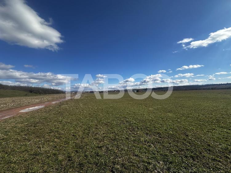 Teren agricol extravilan de 2200 mp, în Turnișor