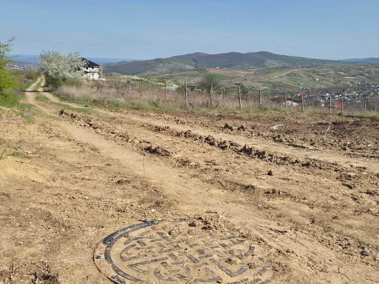 Teren de 3000 mp, în Tomești