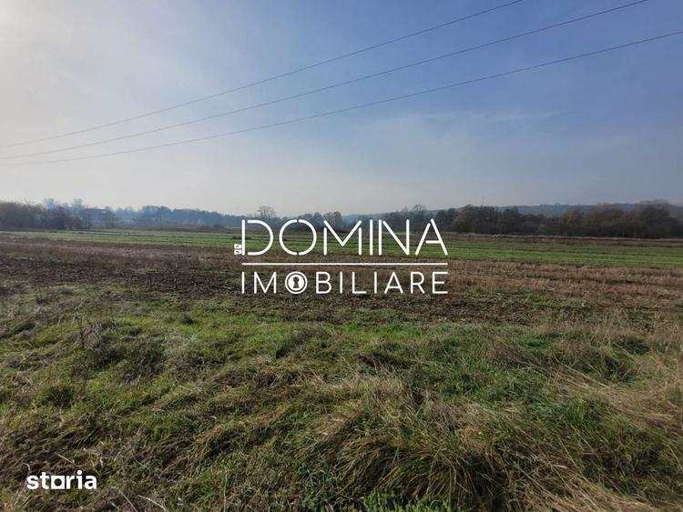 Vanzare teren intravilan - 2518 mp - strada Amurgului - Ursati - 4