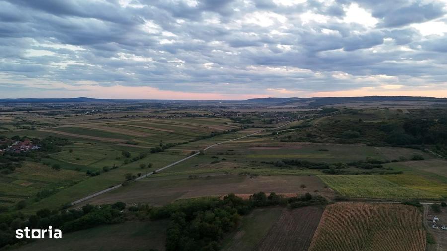 Teren de 1500 mp, în Tileagd