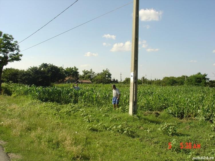 Teren de 2500 mp, în Sălcioara