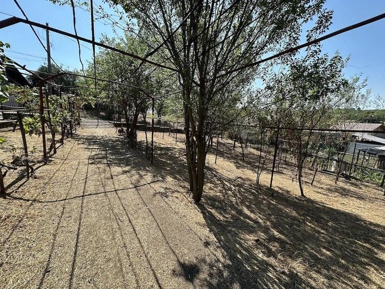 Casă cu 2 camere cu Teren 1594 Mp în Steic
