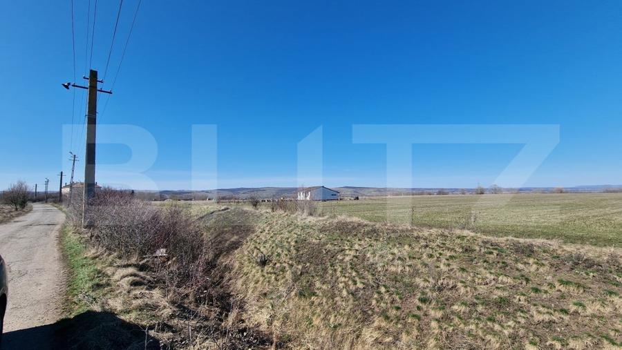 Teren Construcții intravilan de 29000 mp, în Jucu de Sus