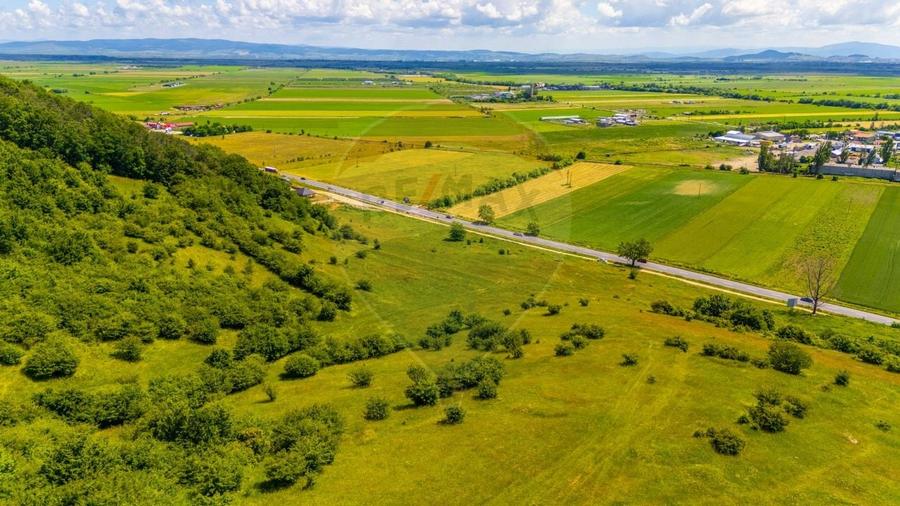 Teren agricol extravilan de 24911 mp, în Nord