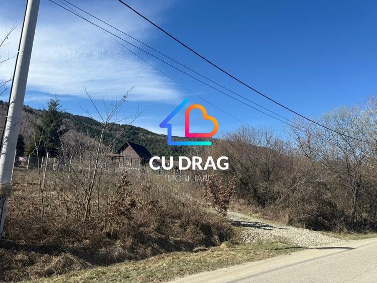Teren Construcții intravilan de 1000 mp, în Sibiel