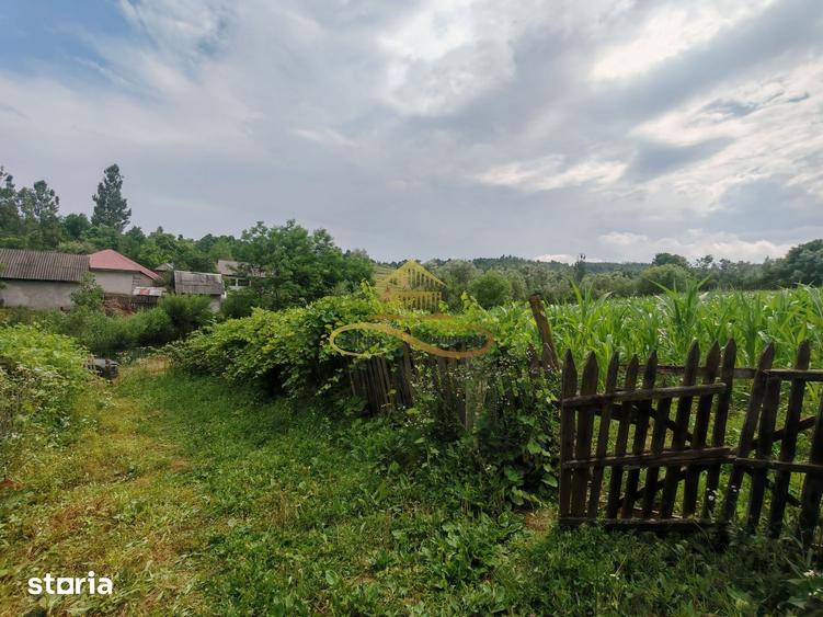 Casă cu 4 camere cu Teren 3300 Mp în Blăgești