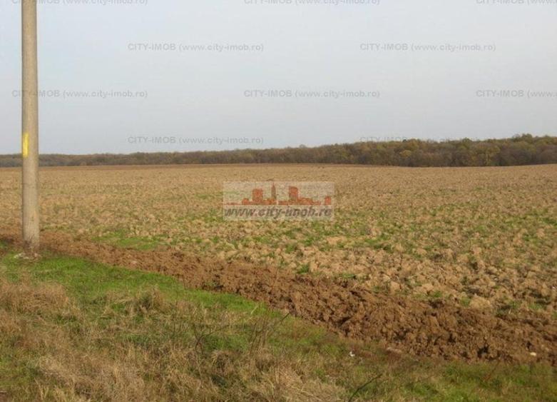 Teren Construcții intravilan de 34428 mp, în Ghermănești