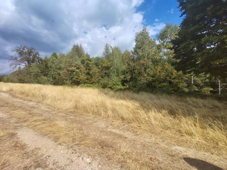 Teren Construcții extravilan de 8000 mp, în Central